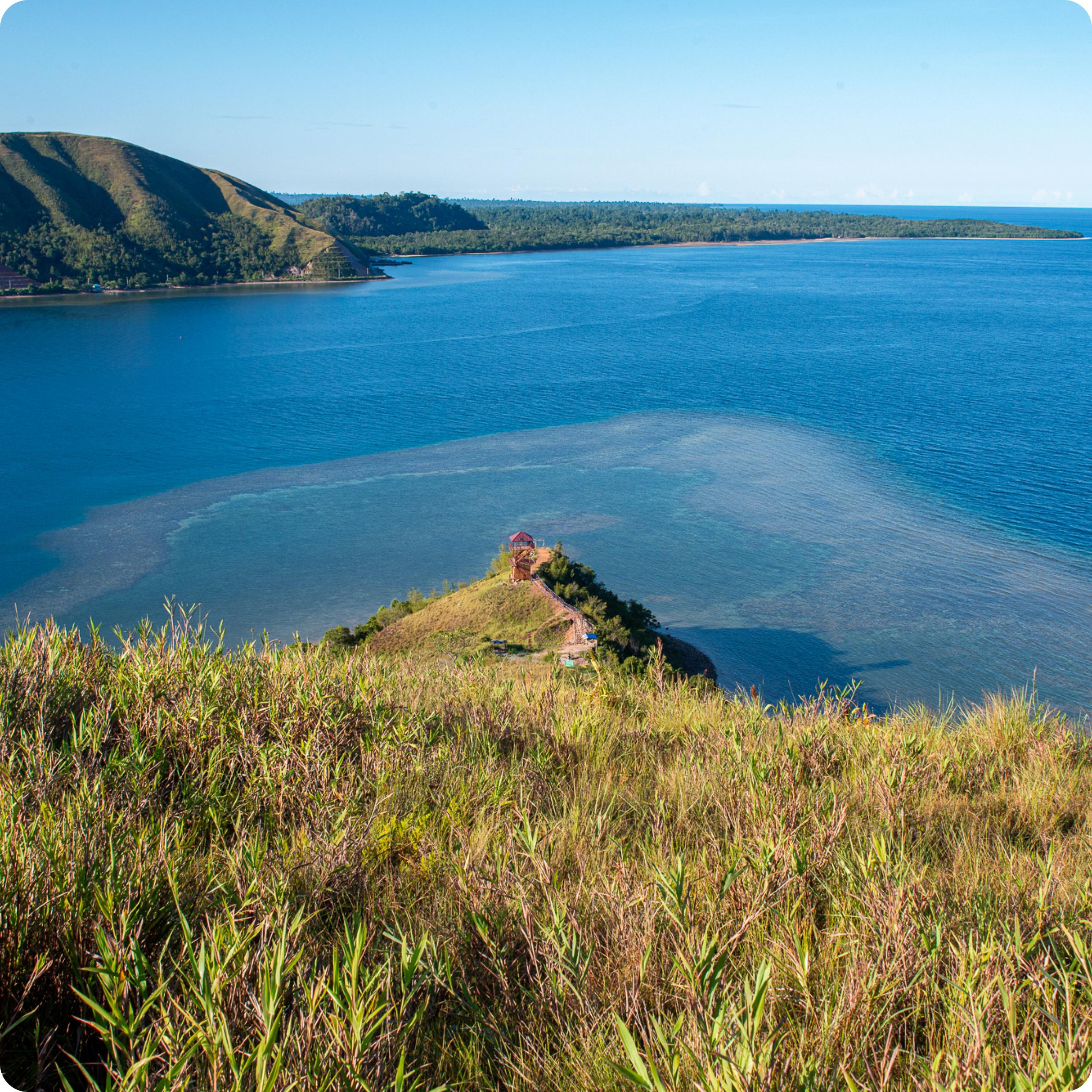 Menjaga Kehidupan Melalui Layanan Ekosistem yang Tak Tergantikan